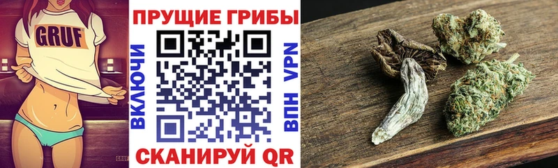 Купить закладки  Великие Луки  Псилоцибиновые грибы Psilocybine cubensis 